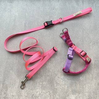 READY TO WALK VALUE SET (Step in Harness + Handfree Leash)