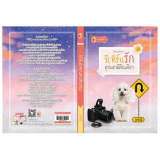 รีเทิร์นรักคุณสามีคืนเดียว (รีเทิร์นรัก) / วาณี แสนรัก โนเวล