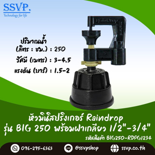 มินิสปริงเกอร์ รุ่น BIG ปริมาณน้ำ 250 ลิตร/ชั่วโมง พร้อมฝาครอบเกลียวใน ขนาด 1/2"-3/4" รหัสสินค้า BIG-250-RDPG1234