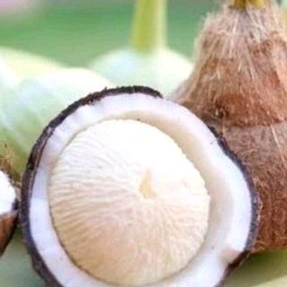 จาวมะพร้าวน้ำหอม จาวมะพร้าวไฟ จาวมะพร้าวแกง สินค้า พร้อมส่ง