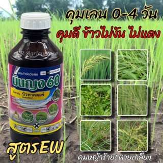 ยาคุมเลน คุมเลน คุมหญ้า มินญง60 สูตรใหม่EW ยาคุมเลนในนาข้าว 0-4 วัน ข้าวไม่แดง ไม่งัน ข้าวโตเร็ว พ่นได้ 3-4ไร่