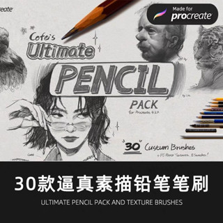 Procreate บรัชดินสอ 30 บรัช, กระดาษ 3 ลาย Realistic sketch pencil (A48)