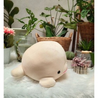 Beluga plush 🌊 ตุ๊กตาเนื้อมาชเมลโล่ ☁ตุ๊กตาปลา วาฬขาว เบลูก้า