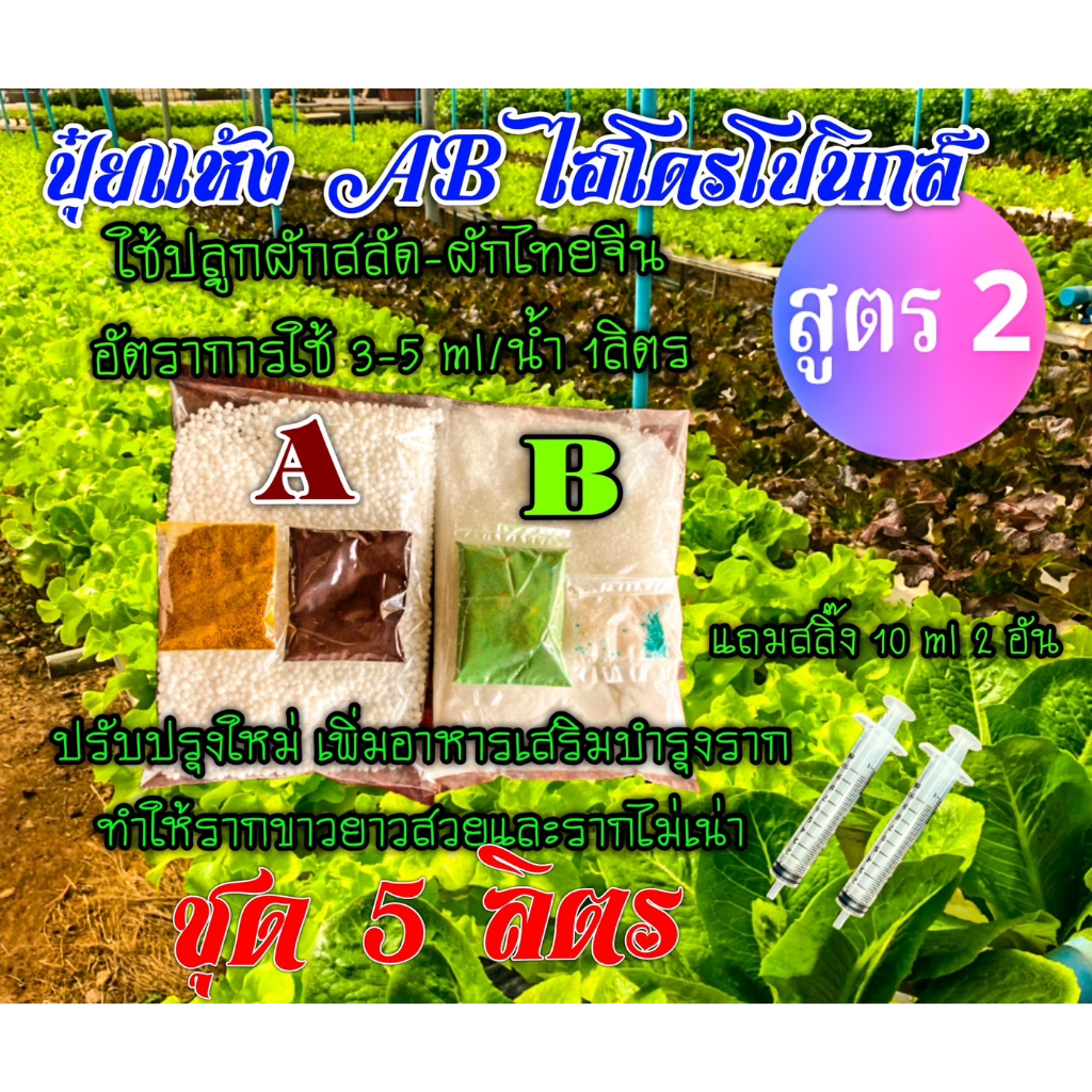 ปุ๋ยแห้ง  A B ผักสลัด-ผักไทย/จีน สูตร 2 ชุดคู่ 5 ลิตร แถมสลิ๊ง 10 cc 2 อัน