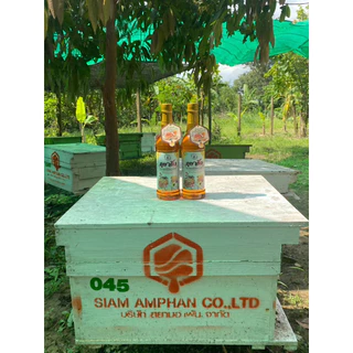 🌳น้ำผึ้งเกสรดอกไม้ป่าเดือน5แท้ 🐝🍯ตรา ภูผาผึ้ง 🐝🌳ชุด 1 ขวด🐝🌳