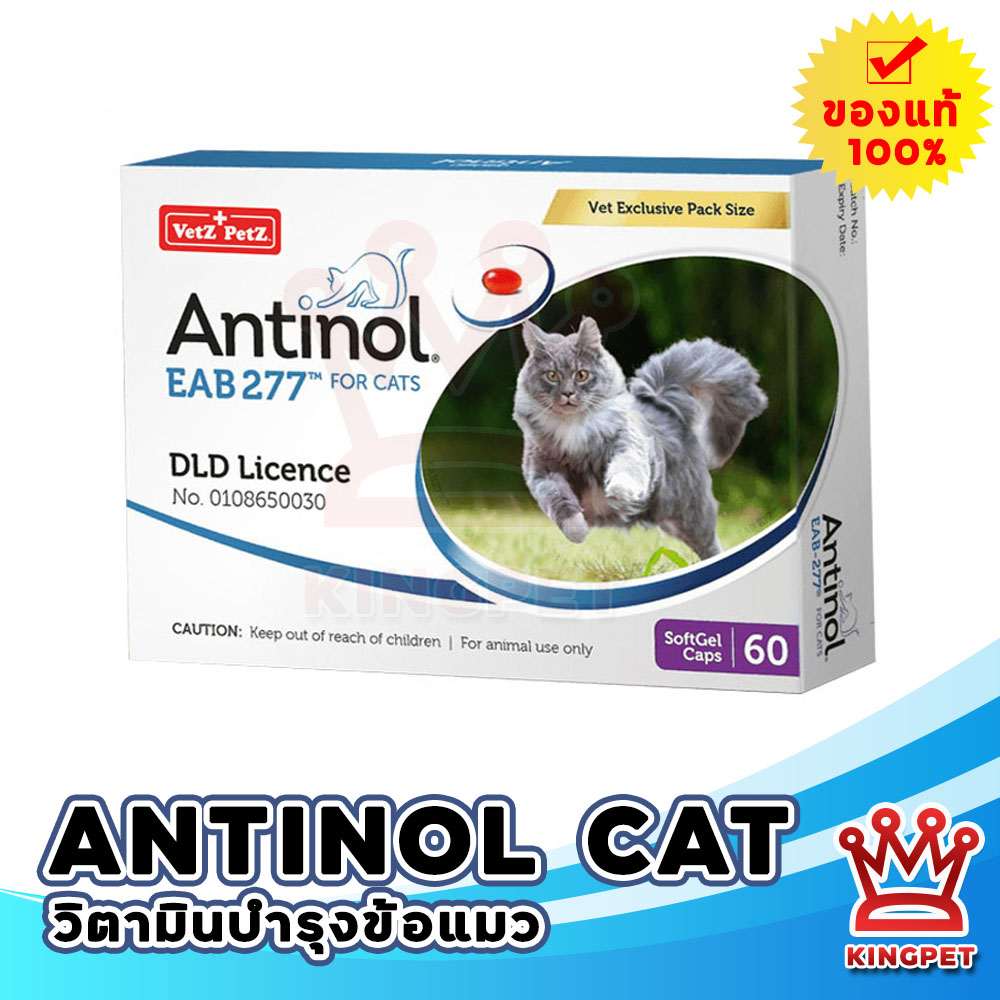 หมดอายุ 3-2026 Antinol cat แอนทินอลแมว 60 เม็ด