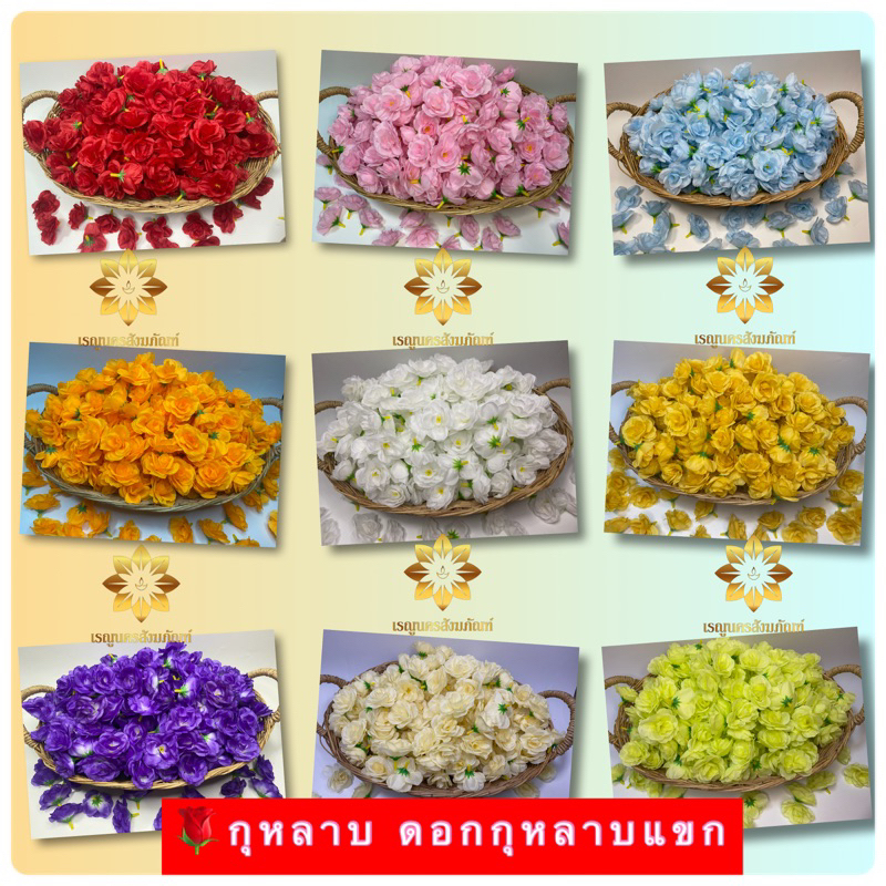 TMIR1 หัวกุหลาบ กุหลาบแขก กุหลาบมอญ ดอกกุหลาบ (กุหลาบแขก part1)