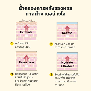 [COSRX OFFICIAL] [TUBE TYPE] Advanced Snail 92 All in One Cream แอดวานซ์ สเนล 92 ออล อิน วัน ครีม