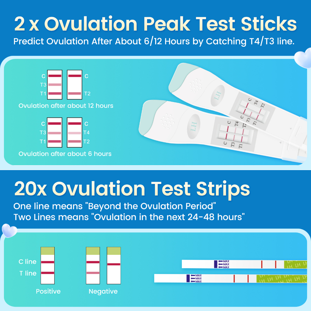 22Pcs ACCUFAST ชุดทดสอบการตกไข่แบบคู่ทำนายการตกไข่ชุดเตรียมการตั้งครรภ์หลังจาก 6 ชั่วโมง - รูปที่ 2