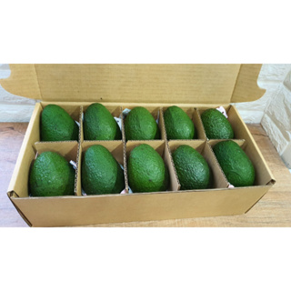 Avocado HASS import อะโวคาโด แฮส นำเข้า กล่องละ 10 ลูก คัดอย่างดี เลือกระดับความสุก คละได้ แจ้งทางแชท