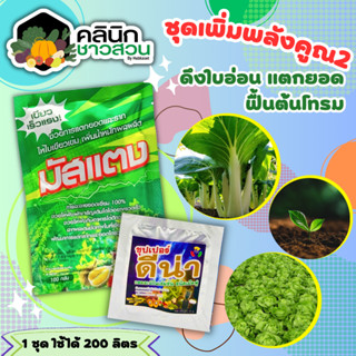 🥬 ชุดคู่หูเพิ่มพลังคูณ2 มัสแตง+ดีน่า 100กรัม+5กรัม (ฟลูวิคแอซิด+อะมิโนแอซิด) ดึงใบอ่น แตกยอด ฟื้นต้นโทรม