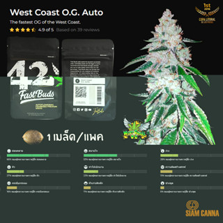 เมล็ดกัญชา West Coast O.G. Auto - Fastbuds Pack : 1 seed พร้อมแพ็คเกจค่าย เมล็ดกัญชาออโต้