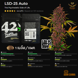 เมล็ดกัญชา LSD-25 Auto - Fastbuds Pack : 1 seed พร้อมแพ็คเกจค่าย เมล็ดกัญชาออโต้