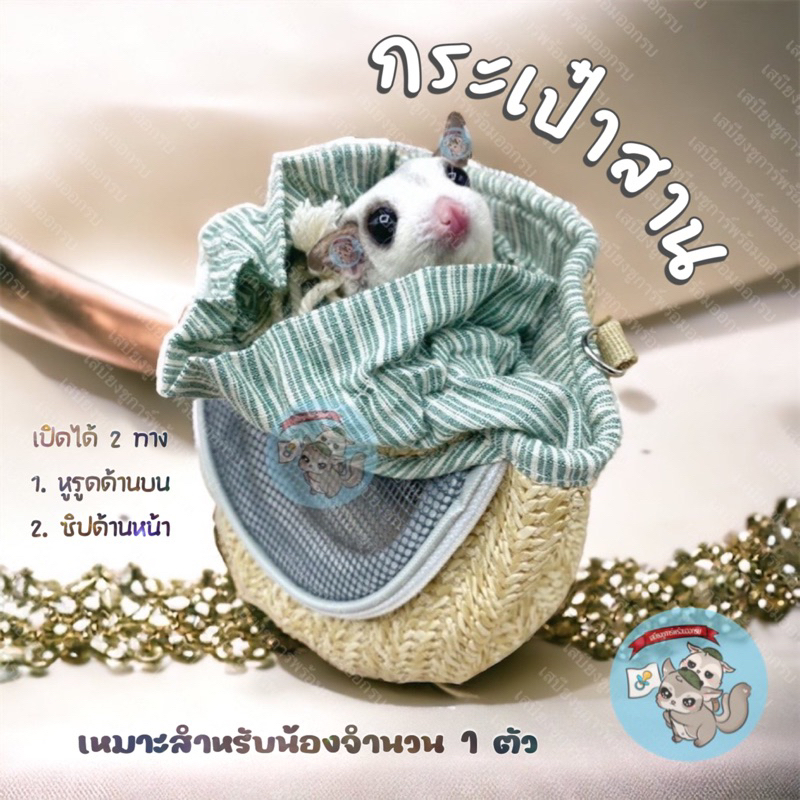 V ( กระเป๋าสาน ) กระเป๋าสัตว์เลี้ยง กระเป๋าชูการ์