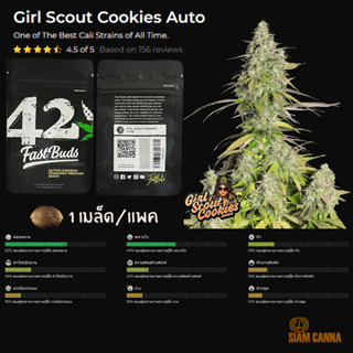 เมล็ดกัญชา Girl Scout Cookies Auto - Fastbuds Pack : 1 seed พร้อมแพ็คเกจค่าย เมล็ดกัญชาออโต้