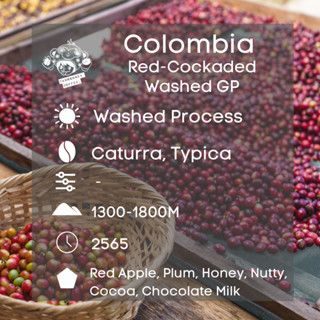 สารเมล็ดกาแฟ Colombia Red-Cockaded Washed GP