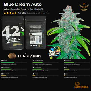 เมล็ดกัญชา Blue Dream Auto - Fastbuds Pack : 1 seed พร้อมแพ็คเกจค่าย เมล็ดกัญชาออโต้