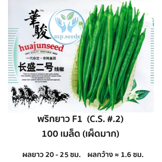 เมล็ดพริกโจลอง 500/100 เมล็ด สายพันธุ์ OP / F1 เมล็ดพริกยาวจีนยอดนิยม