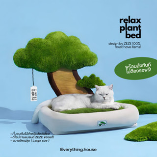 { พร้อมส่ง } 🌳𝙍𝙚𝙡𝙖𝙭 𝙥𝙡𝙖𝙣𝙩 𝙗𝙚𝙙 ~ ที่นอนสำหรับสัตว์เลี้ยง ที่นอนน้องแมว ที่นอนทรงต้นไม้ ที่ลับเล็บแมว เบาะนอนนุ่มนิ่ม 🐈