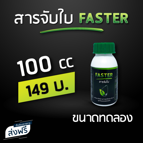 FASTER สารจับใบ สารเสริมประสิทธิภาพการดูดซึม (ขนาด 100 cc) F-MINI