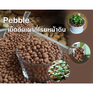 Pebble เม็ดดินเผา ที่โรยหน้าดิน