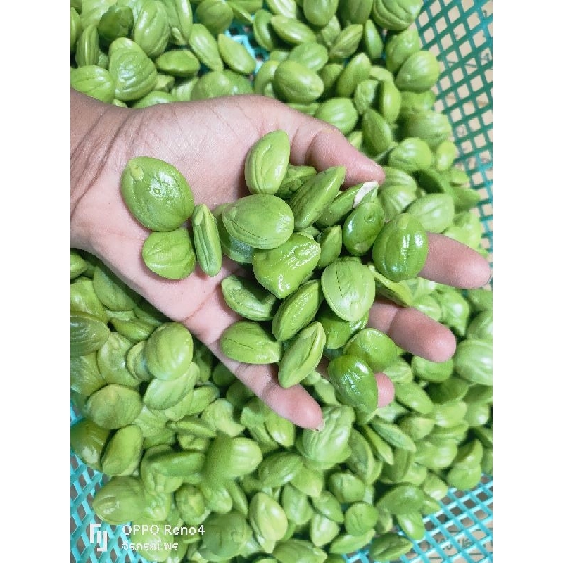 สะตอแกะคละเม้ด เกรดรวม500กรัม