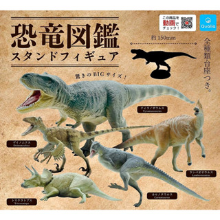 (มีของพร้อมส่ง) Gashapon กาชาปองไดโนเสาร์ Qualia Dinosaur Encyclopedia Collection Figures โมเดลไดโนเสาร์