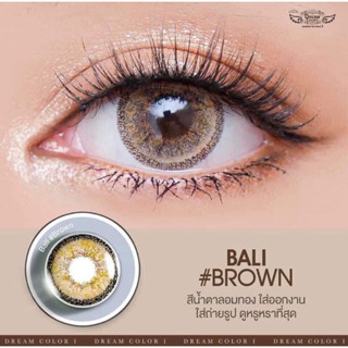 คอนแทคเลนส์ รุ่น Bali Brown Dreamcolor1 **สายตาสั้นและแฟชั่น