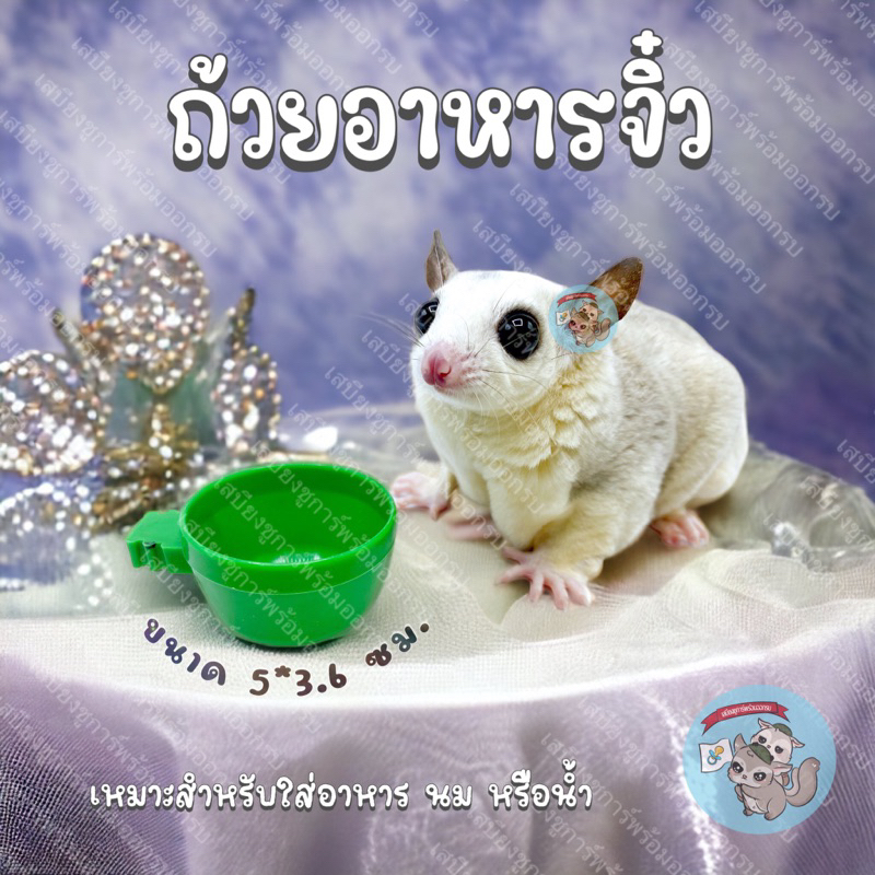 V ( ถ้วยอาหารจิ๋ว ) ถ้วยพลาสติก ถ้วยอาหาร