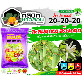 🥬 แนนซี่ 20-20-20 (ปุ๋ยเกล็ดผง) บรรจุ 1กิโลกรัม บำรุงต้นและใบ เร่งการแตกกิ่ง ฟื้นต้นหลังเก็บเกี่ยว