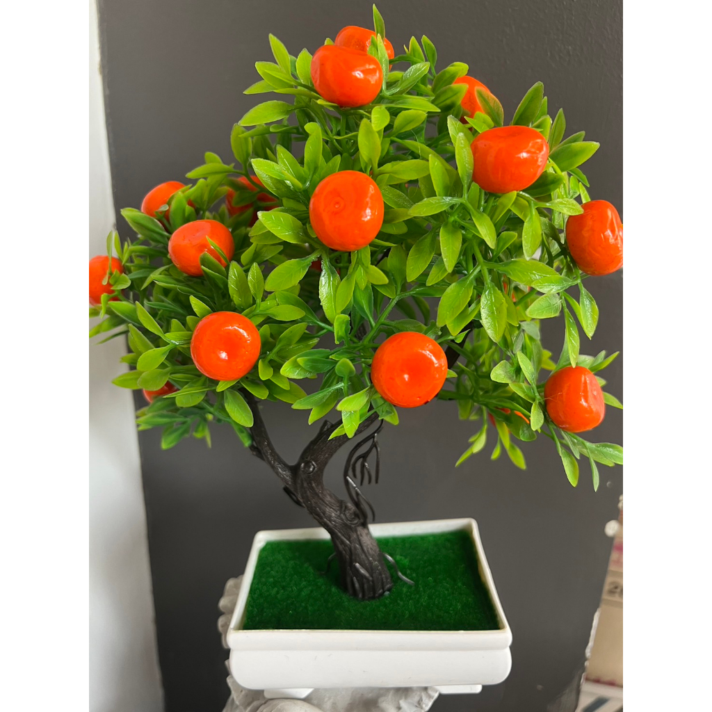 ต้นส้ม (ต้นส้มมงคลลูกดกต้นไทรใหญ่ 23*19ซม.)(สินค้าพร้อมส่งจากไทย) ต้นส้ม+กระถาง ต้นส้มปลอม ต้นส้มมงคล