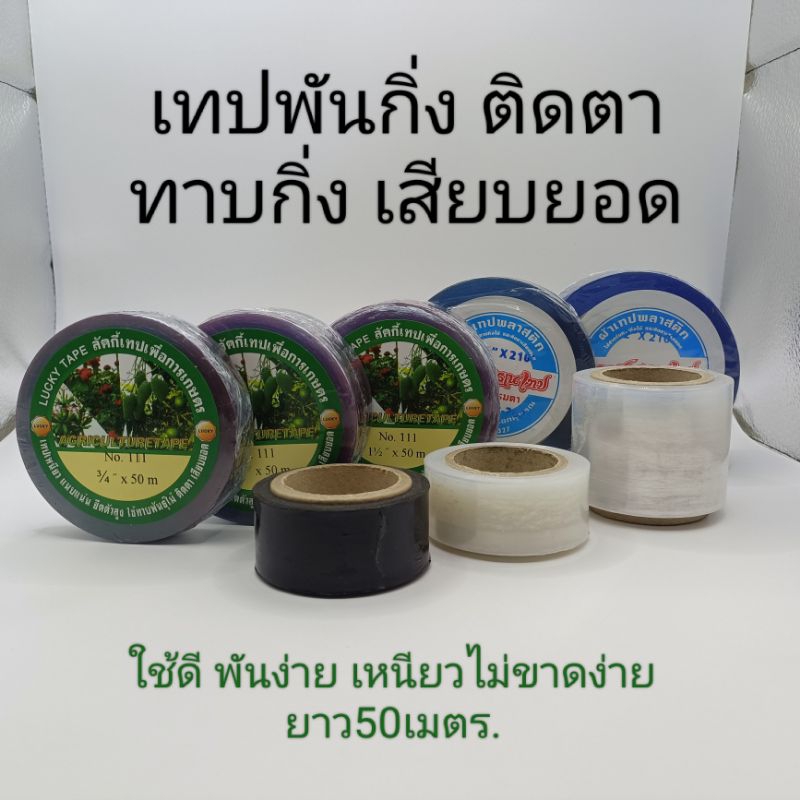 เทปพันกิ่ง เทปติดตา (ใช้พันเสียบยอด ทาบกิ่ง เป็นฟิลม์ยืดพันกิ่ง)