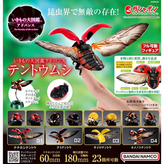 (มีของพร้อมส่ง) กาชาปองเต่าทองพรีเมี่ยม Gashapon Bandai Premium Ikimono Encyclopedia Advance Ladybug โมเดลสัตว์