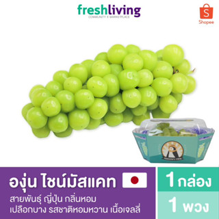 องุ่นไชน์มัสคัส Shine Muscat Grape แพ็ค 500g. เนื้อเจลลี่ กลิ่นหอม Freshliving องุ่น ผลไม้สด