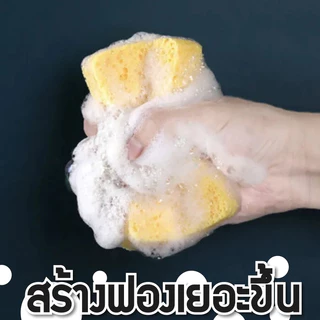 🧽ฟองน้ำล้างแก้ว🧽 ทำจากเยื่อไม้🥛 หนา 2 ซม. เนื้อนุ่มฟองเยอะ ขจัดคราบได้หมดจด ไม่เป็นรอย ดูดซึมน้ำได้ดี อเนกประสงค์