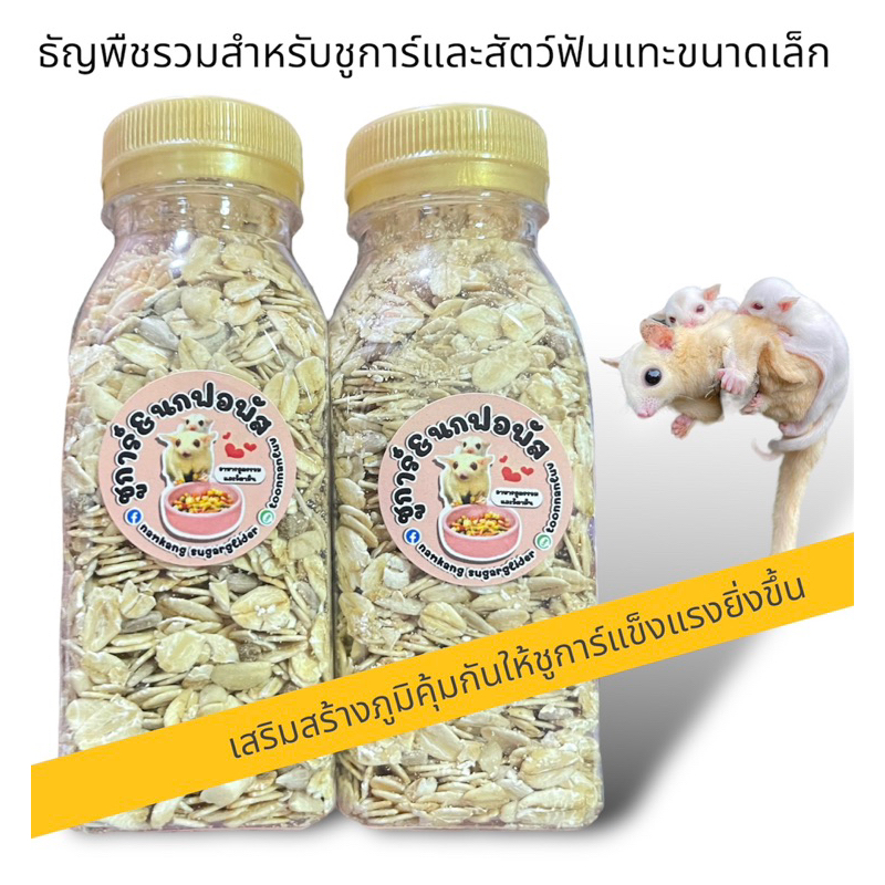 ข้าวโอ๊ตธัญพืชรวมสำหรับชูการ์และธัญพืชรวมผสมหนอนอบแห้งสำหรับสัตว์ฟันแทะขนาดเล็กอาหารเสริมชูการ์หนูแฮมเตอร์
