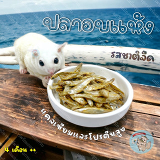 ( FISH - ปลาอบแห้ง ) ปลาแห้ง ปลา เนื้อปลา อาหาร อาหารชูก้า กระรอก แฮมสเตอร์ ดอร์เมาส์ งู บุชเบบี้ ลิง เต่า มาโมเสท