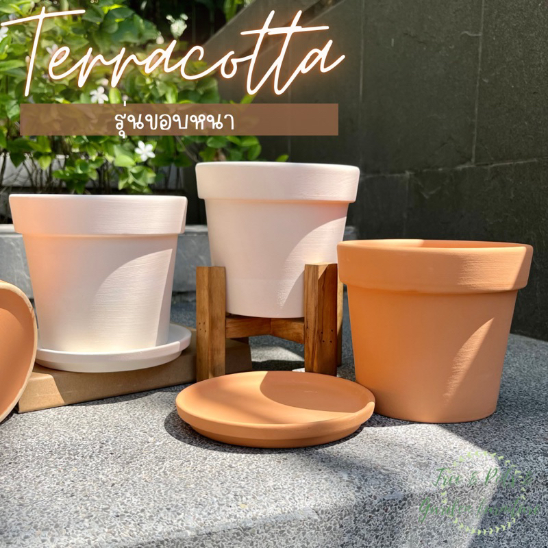 กระถางดินเผา กระถางทรงสูง 5.5” กระถางเนื้อเนียน สวย มี 2 สีให้เลือก ระบายน้ำดี งานสวยมากค่ะ