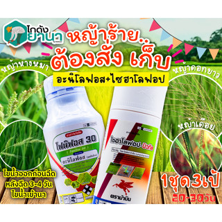 🌾 ชุดเก็บหญ้าดื้อยา โฟนิฟอส+ไซฮาโลฟอป ตราม้าบิน (อะนิโลฟอส+ไซฮาโลฟอป-บิวทิล) ขนาด 500+500ซีซี เก็บหญ้าในนาข้าว20-40วัน