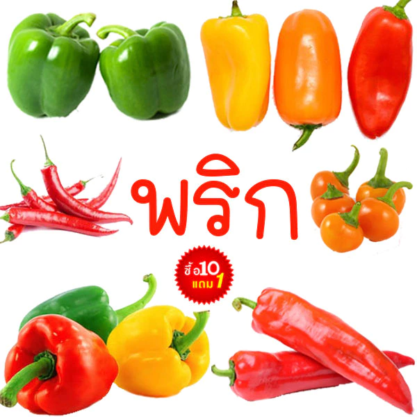 พริก📌10แถม1📌พริกทุกสายพันธุ์🎯ถูกที่สุด 10บ.🎯เมล็ดพันธุ์พริก3-50 เมล็ด🌿 ปลูกง่าย🌱โตไว🌱ผลดก
