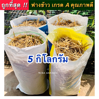 ฟาง ฟางข้าว 1 กระสอบใหญ่ ( 5 กิโลกรัม) ล็อตใหม่ ปี 2566 !! ไม่ชื้น ไม่รา