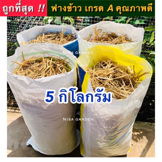 Nisa Garden ฟางข้าว 1 กระสอบใหญ่ ( 5 กิโลกรัม) ล็อตใหม่ ปี 2569!! ไม่ชื้น ไม่รา