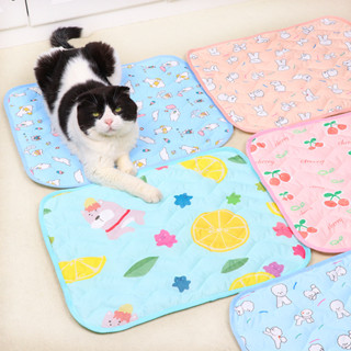 🌈Pet Coolmat แผ่นนอน🌈 ที่นอนเจลเย็น ที่นอนสัตว์เลี้ยง เบาะนอนเย็น ที่นอนเย็น ที่นอนสุนัข แผ่นเจลเย็นสุนัข แผ่นเจลเย็นแมว