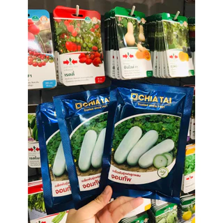 แฟงจอมทัพ 50กรัม เมล็ดพันธุ์ เจียไต๋ Wax Gourd แฟงแก่ เมล็ดพันธุ์แฟง