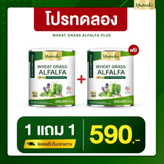 ✅ใหม่ วีทกราส อัลฟาฟ่า ยูมิโกะ คลอโรฟิลล์ ไฟเบอร์ ปริมาณ 200 กรัม  Wheatgrass Alfalfa yumiko 200 g