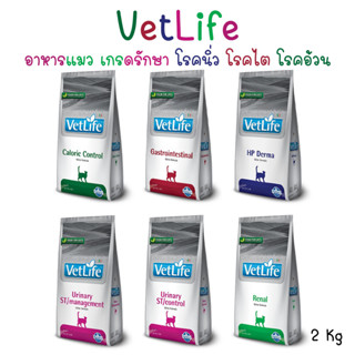 vetlife food for cat 2กก อาหารแมว อาหารเพื่อสุขภาพแมว urinary , renal , gastrointestinal