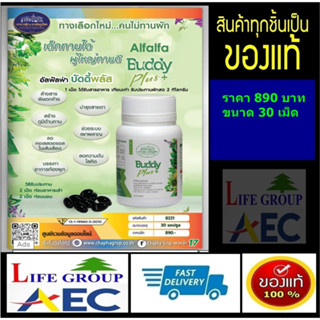 อัลฟาฟ่า บัดดี้ พลัส (Alfalfa Buddy Plus)