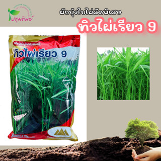 ผักบุ้ง ทิวไผ่เรียว 9 ตราภูเขาทอง ขนาด 1 กิโลกรัม