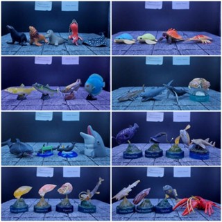 Koyodai model animal gachapon โมเดลสัตว์ งานโคโยได กาชาปอง