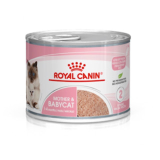 Royal canin mother and babycat mousse อาหารเปียกสำหรับแม่แมวและลูกแมว 1กระป๋อง